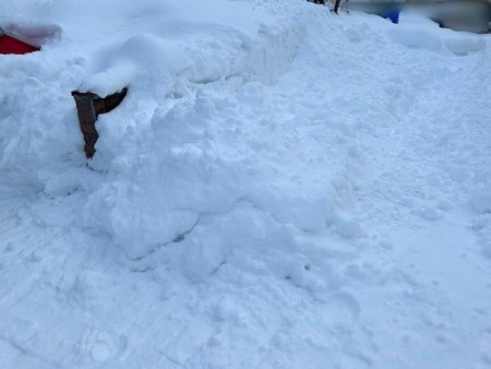 thumbnail_IMG_4740 (1)