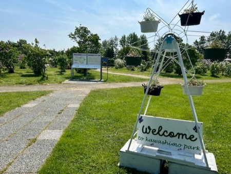 thumbnail_IMG_6806 (1)