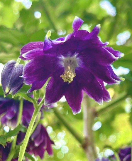 thumbnail_IMG_7305 (1)