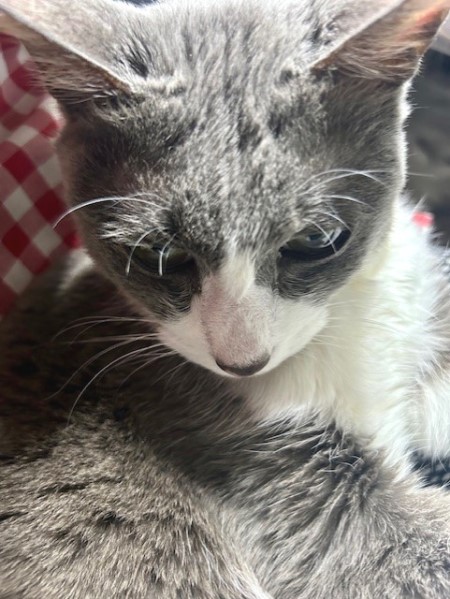 thumbnail_IMG_5228 (1)