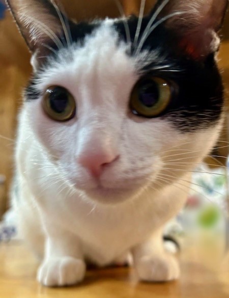 15109f60-f375-44fe-9b41-a24d8404011e