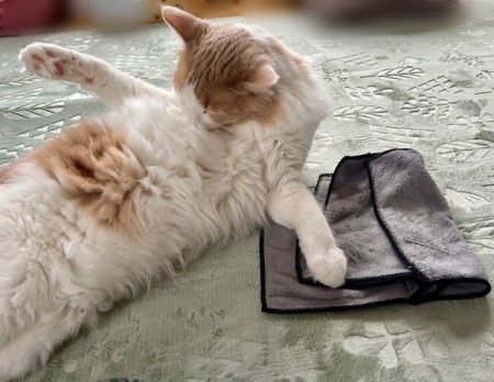 thumbnail_IMG_4877 (2)