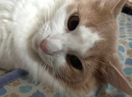 thumbnail_IMG_3245 (1)