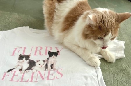 thumbnail_IMG_6715 (1)