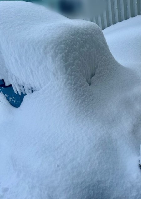 6654f56f-0b88-4cd1-ad50-68de70fc3a24