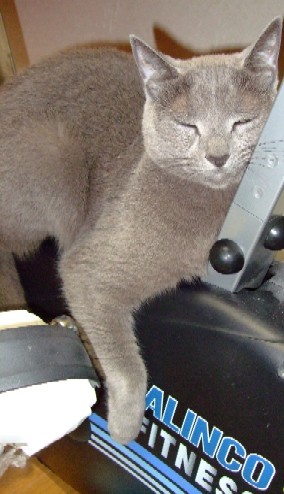 20070812203029