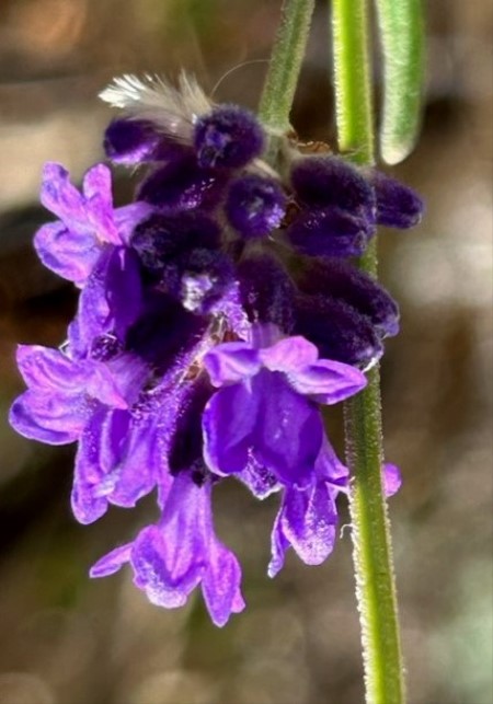 thumbnail_IMG_0307 (1)