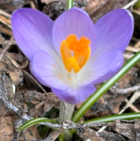 7aa3e961-8ed7-4165-89ba-8f89aee419f5