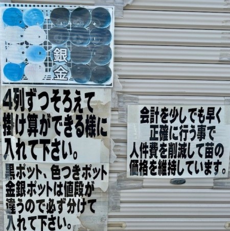thumbnail_IMG_4200 (1)
