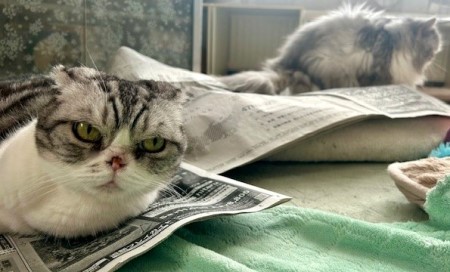 9876148a-ad88-494e-b3e9-2ad590205f2b