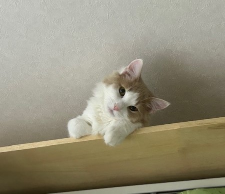 thumbnail_IMG_5664 (1)