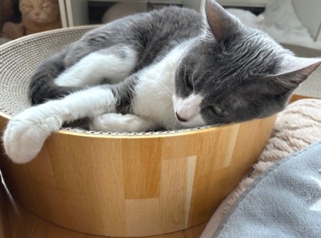 thumbnail_IMG_4082 (1)