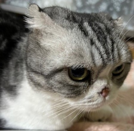 thumbnail_IMG_3701 (1)