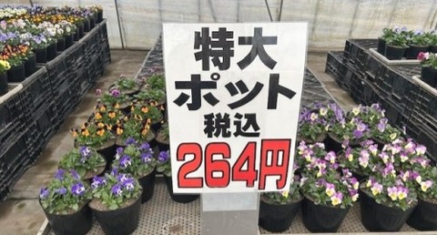 thumbnail_IMG_7773