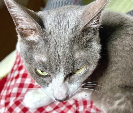 9c212296-1b68-4ad6-bfa7-5fdd59d7b925