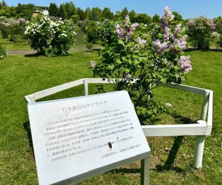 thumbnail_IMG_6891 (2)