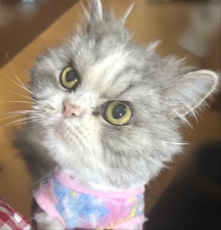 thumbnail_IMG_7828 (1)