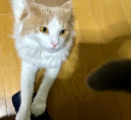 thumbnail_IMG_3543 (1)