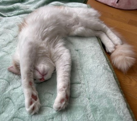 thumbnail_IMG_5294 (1)