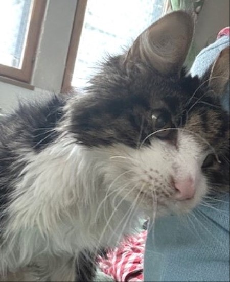 thumbnail_IMG_7920 (2)