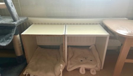 thumbnail_IMG_3431 (1)