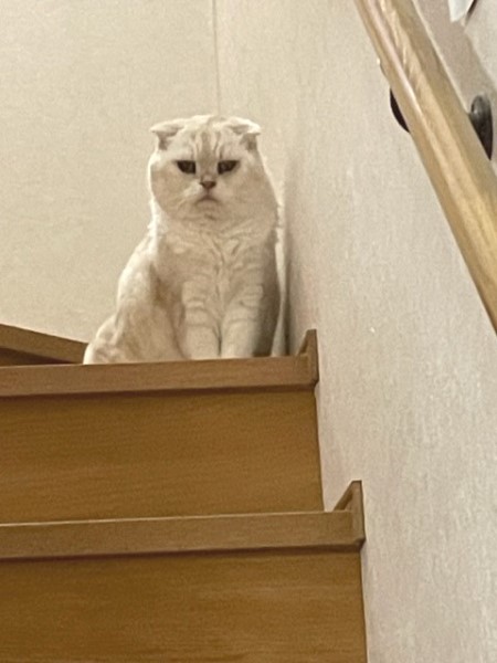 4076