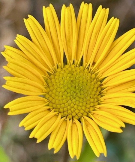 thumbnail_IMG_8485 (3)