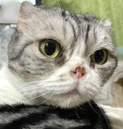 3539