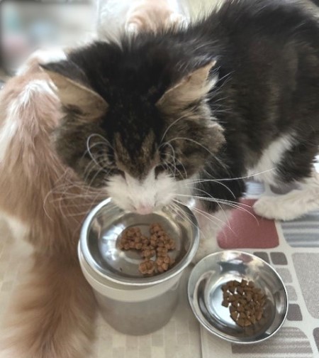 thumbnail_IMG_7820 (1)