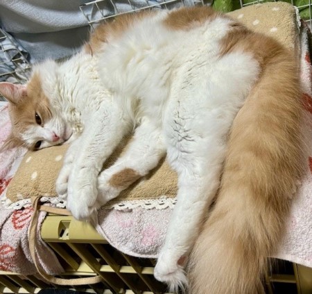 8e6fead0-ab37-48fd-a941-6ed756d9e5bf