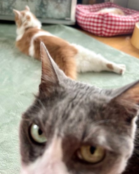 thumbnail_IMG_6026 (1)