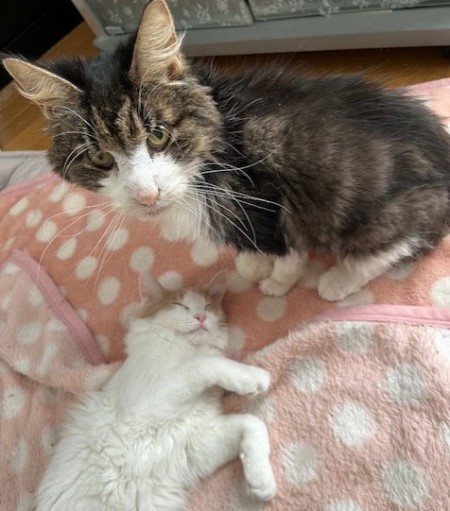 thumbnail_IMG_5120 (1)