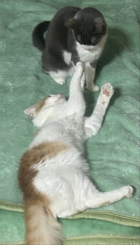 thumbnail_IMG_3134 (1)