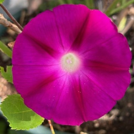 thumbnail_IMG_6016