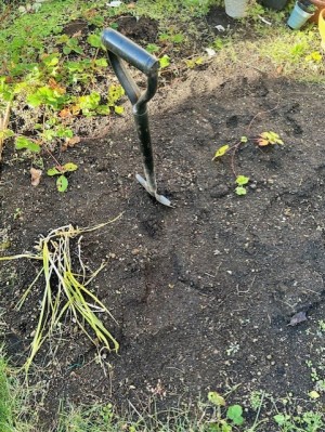 thumbnail_IMG_8658 (2)