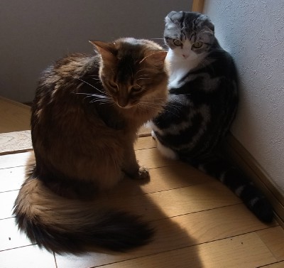 ツーショット⑥