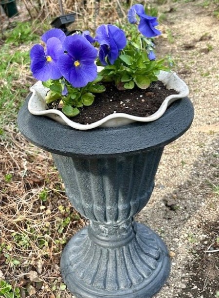 thumbnail_IMG_5012 (2)