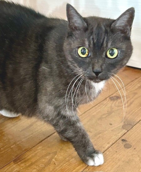 bc0b4b4a-21dd-4946-a828-55e56e8caec5