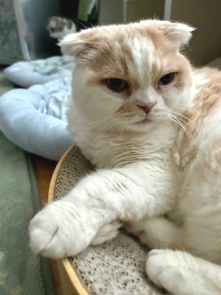 thumbnail_IMG_8401 (1)