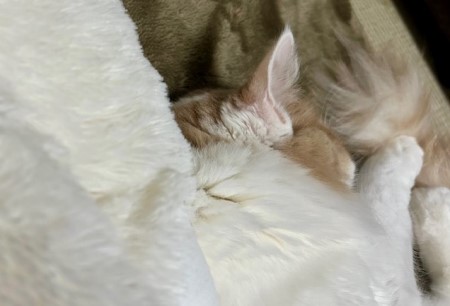 thumbnail_IMG_0620 (2)