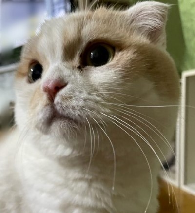 3087