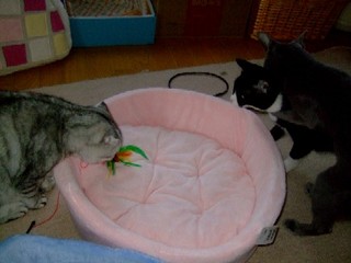 2007_11280024jpg