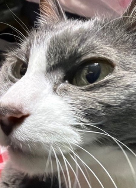 c9478f22-959d-4cf3-8c1d-cf05b40a2f58