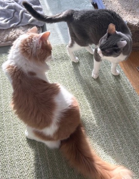 94d2747b-baef-42b2-8588-aaf6a3c82a29