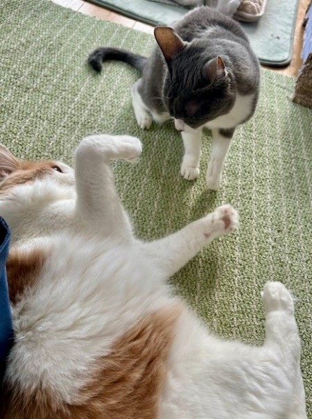 thumbnail_IMG_5469 (2)