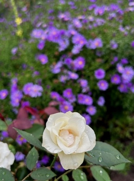 thumbnail_IMG_8193 (1)