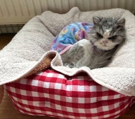 thumbnail_IMG_7633 (1)