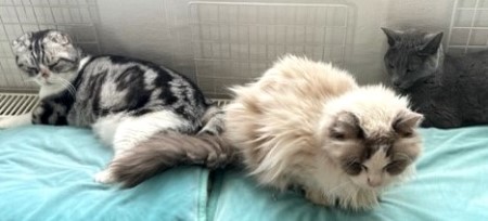 thumbnail_IMG_0261