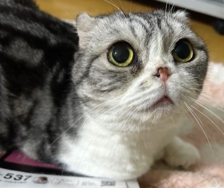 thumbnail_IMG_3700 (1)