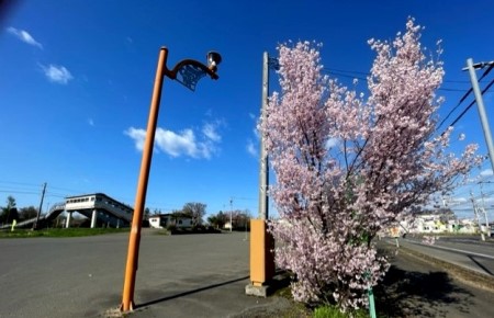 thumbnail_IMG_9890